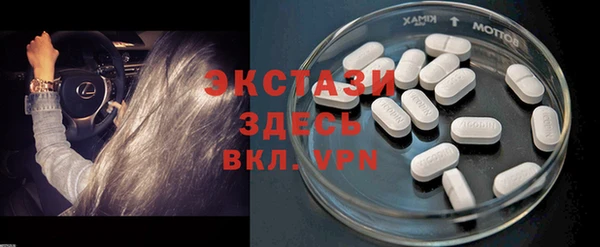 индика Сосновый Бор