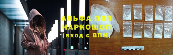 индика Сосновый Бор