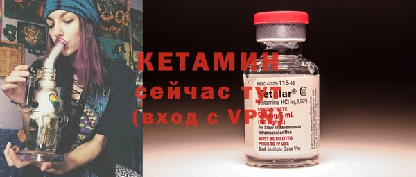 индика Сосновый Бор