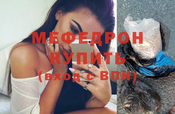 индика Сосновый Бор