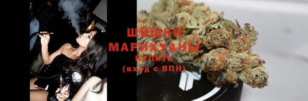 индика Сосновый Бор