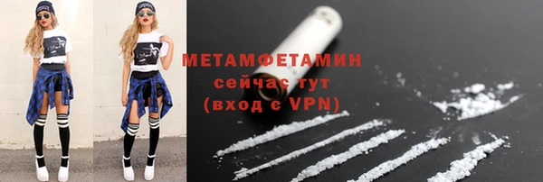 индика Сосновый Бор