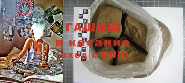 индика Сосновый Бор