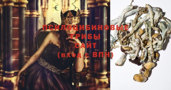 индика Сосновый Бор