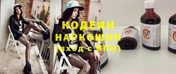 индика Сосновый Бор