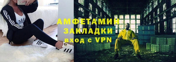 индика Сосновый Бор