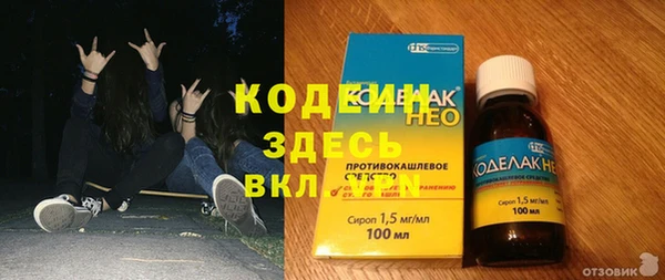 индика Сосновый Бор