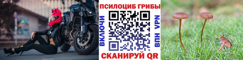 Галлюциногенные грибы Cubensis Цивильск